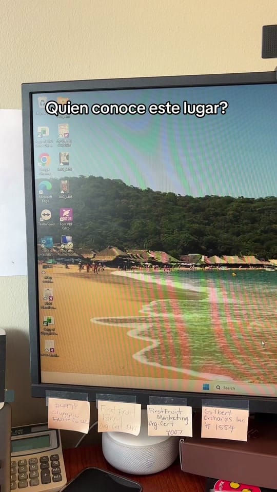 Post 3 by Ines VB on TikTok (video)