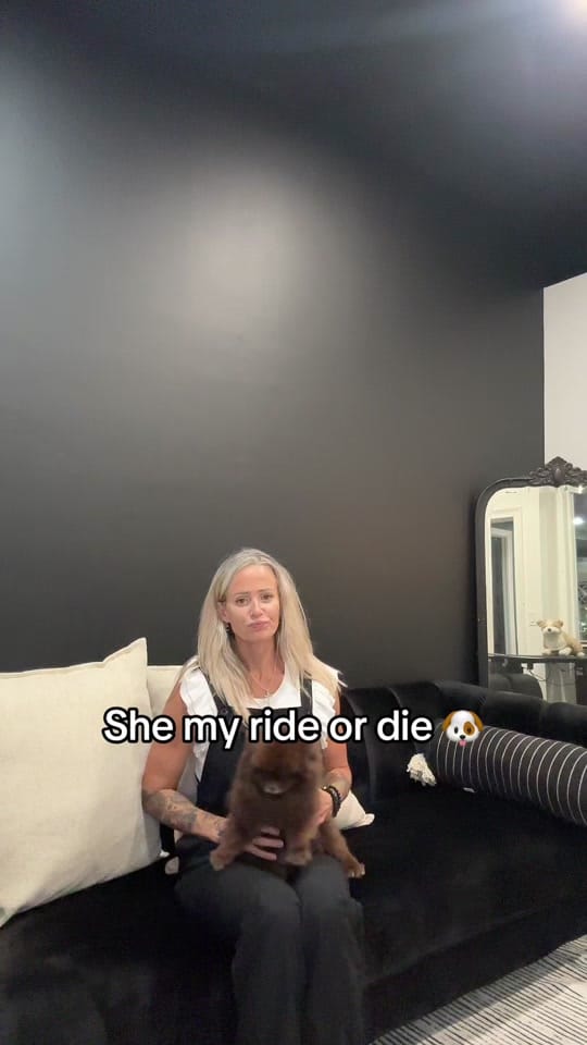 Post 2 by Lewannasellsluxury on TikTok (video)