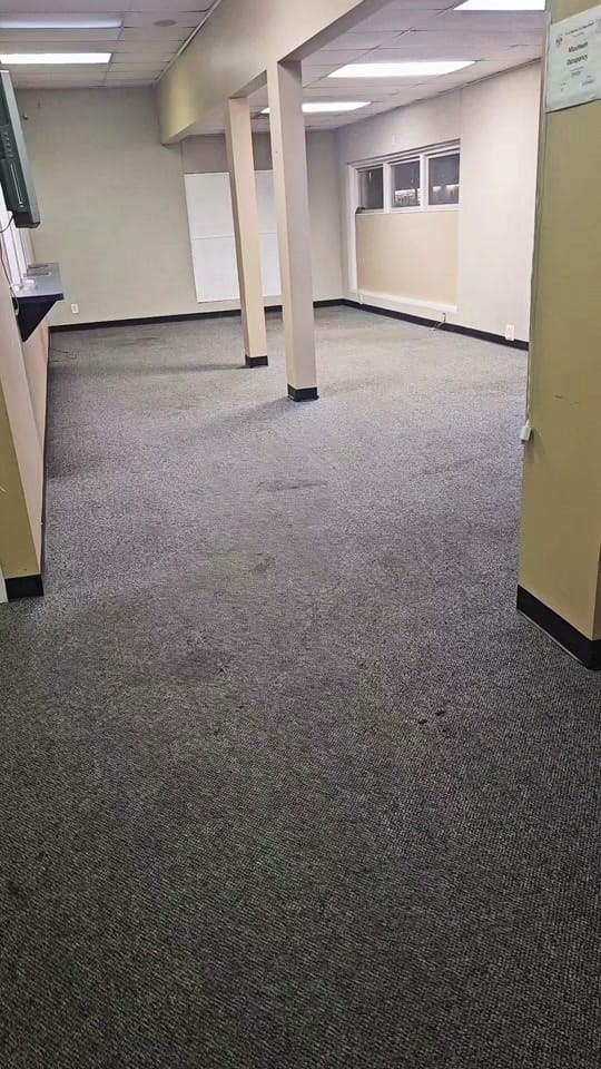 Post 3 by 🖤 Tiffanys Enchanted Light ♥️ on TikTok (video)