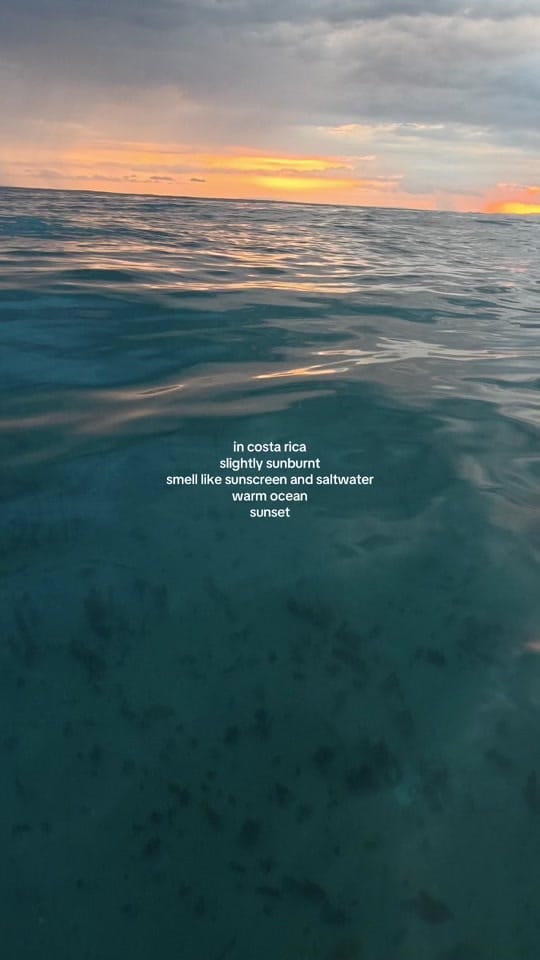 Post 3 by Nikky on TikTok (video)