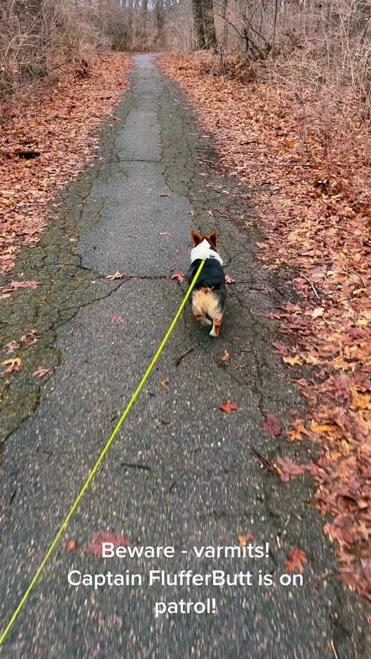 Post 10 by Jim Getzinger on TikTok (video)