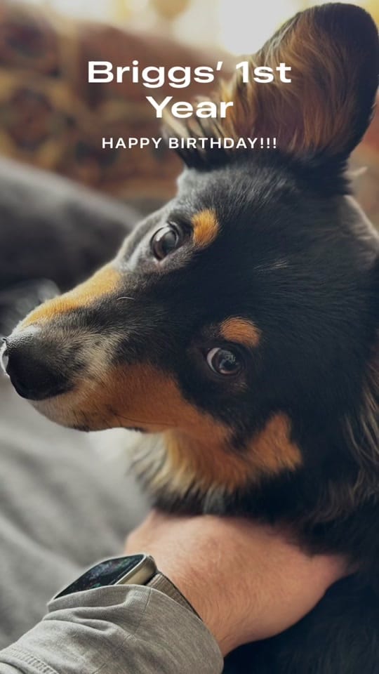 Post 2 by Jim Getzinger on TikTok (video)