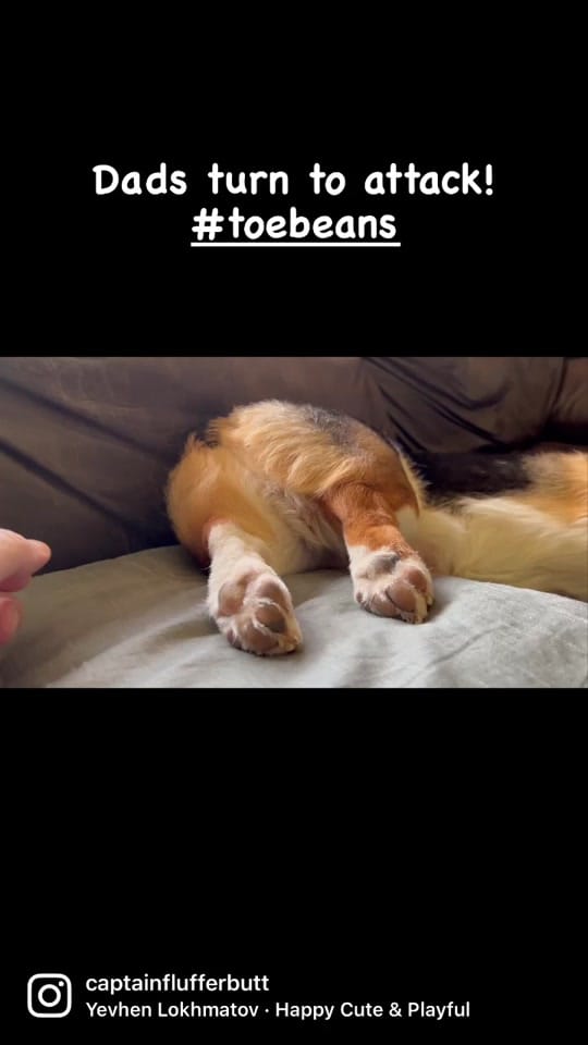 Post 8 by Jim Getzinger on TikTok (video)