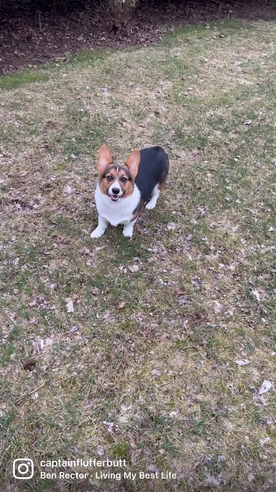 Post 9 by Jim Getzinger on TikTok (video)