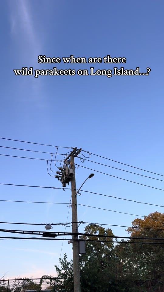 Post 6 by Jon S on TikTok (video)