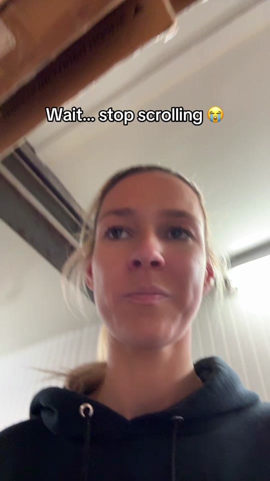 Post 6 by alyssadimiris on TikTok (video)