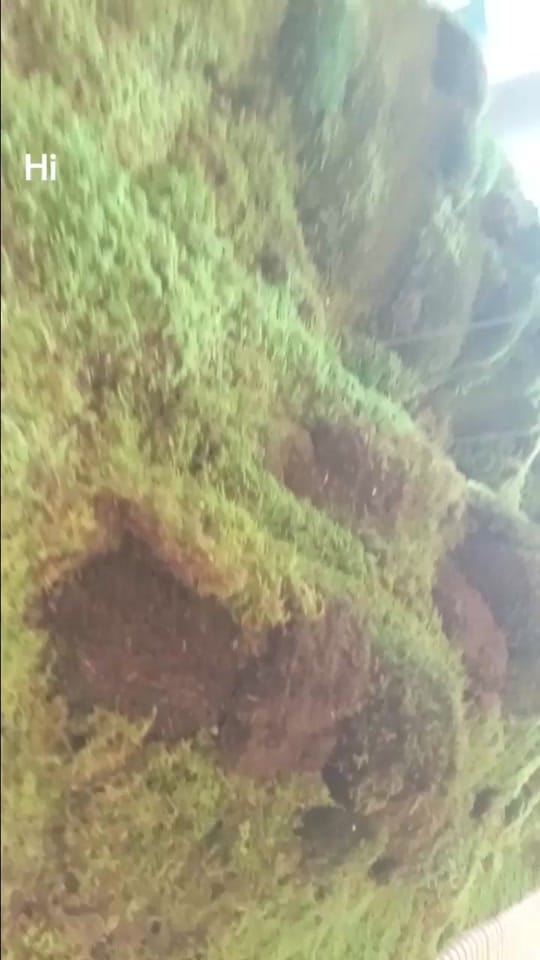 Post 9 by Fornique on TikTok (video)