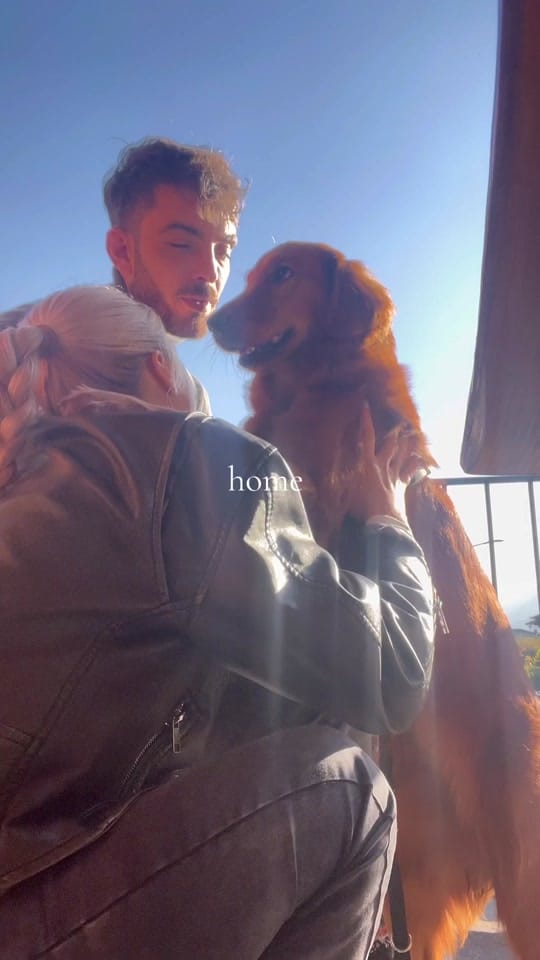 Post 3 by vi’s vibes on TikTok (video)