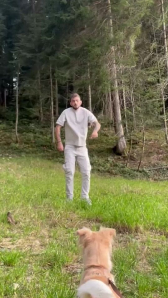 Post 2 by vi’s vibes on TikTok (video)