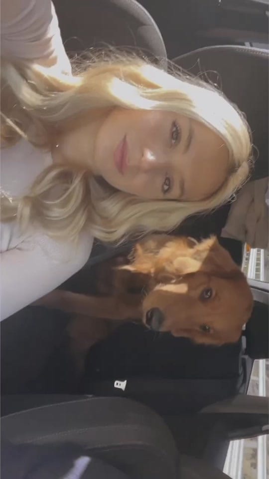 Post 5 by vi’s vibes on TikTok (video)