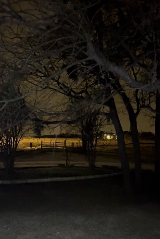 Post 4 by texasgirly100 on TikTok (video)