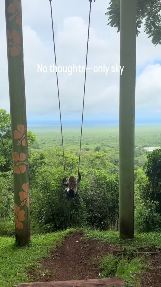 Post 1 by Shelley Carroll on TikTok (video)