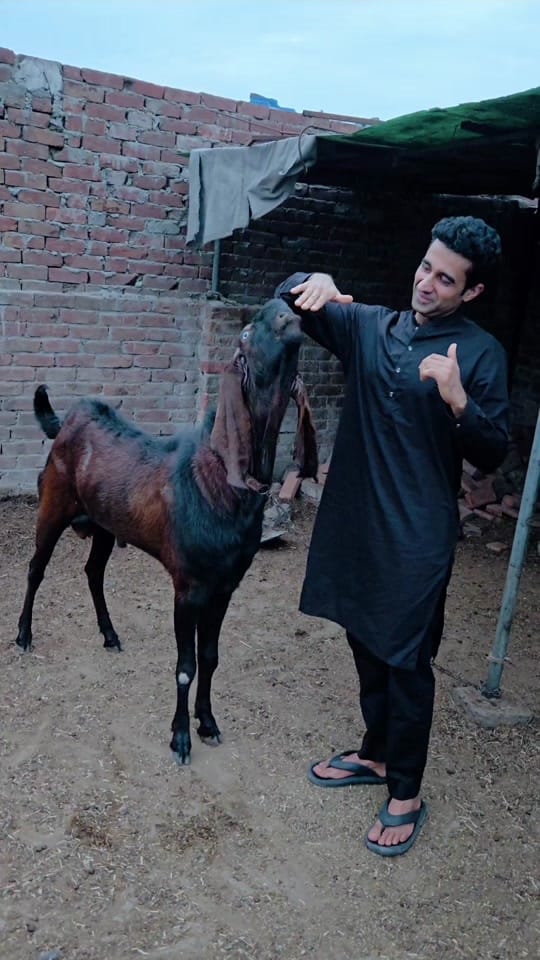 Post 3 by Dr Faisal kamboh on TikTok (video)
