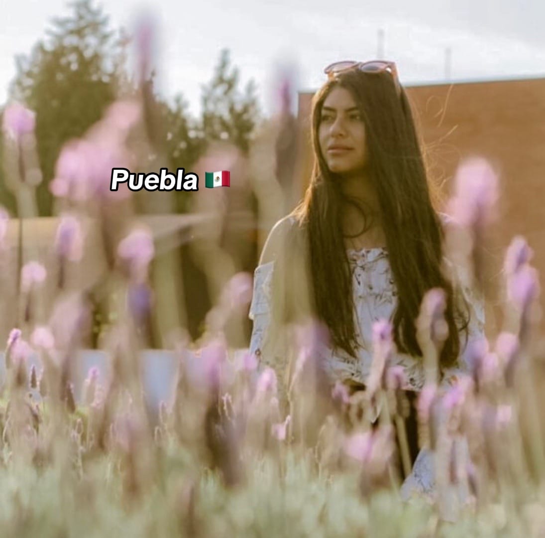Post 10 by Melissa on TikTok (video)