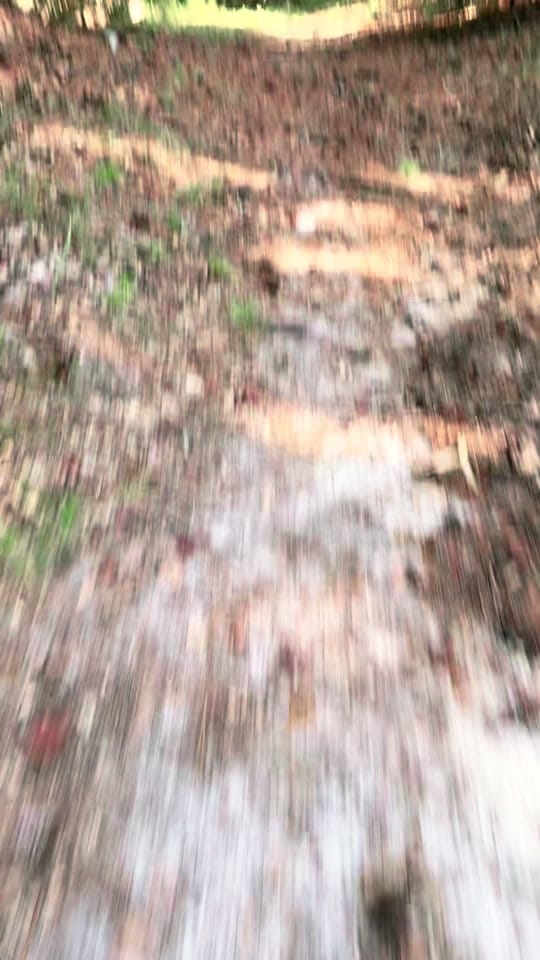 Post 5 by RamDamsey on TikTok (video)