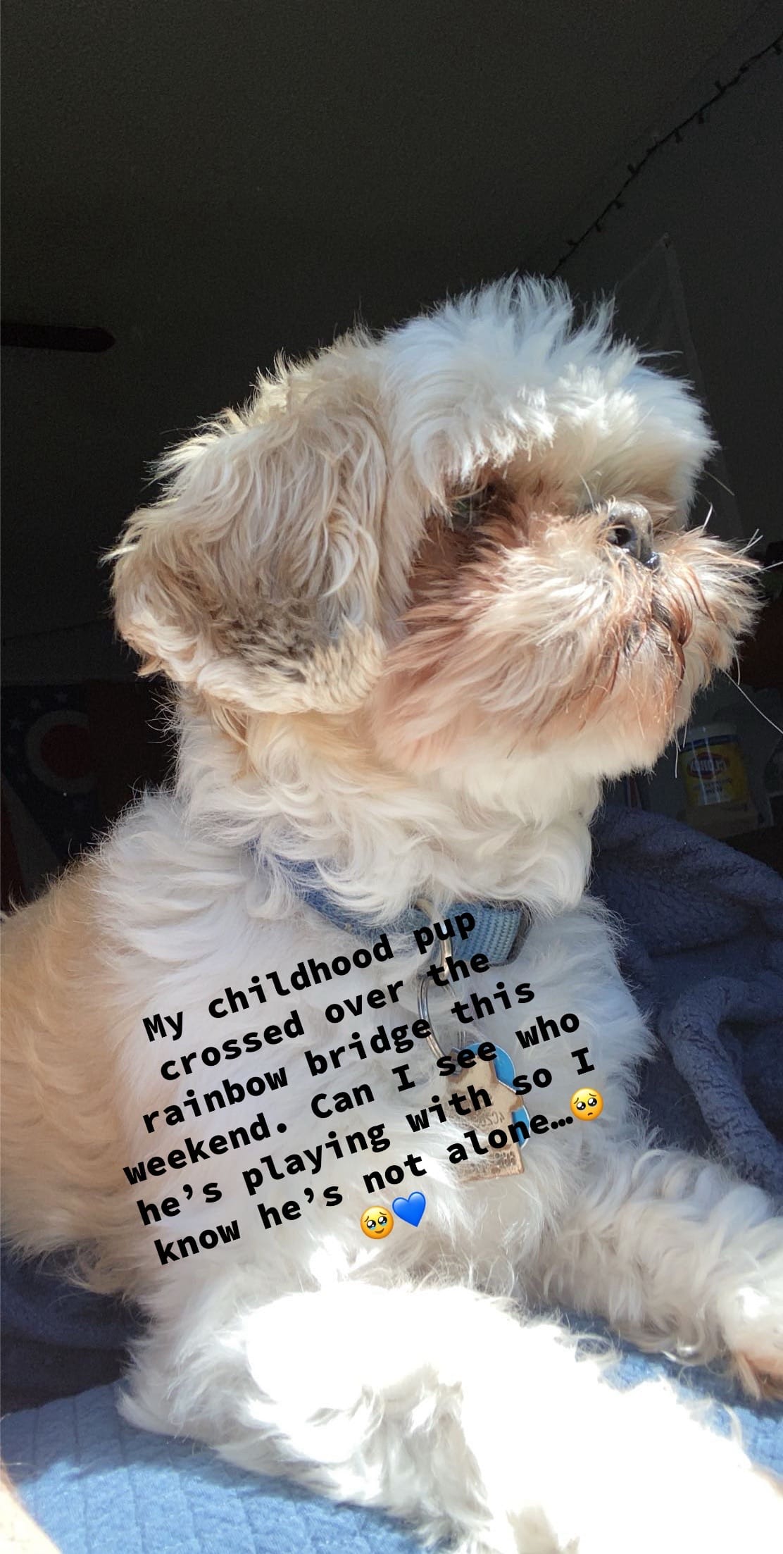 Post 1 by Dylan Kidder on TikTok (video)