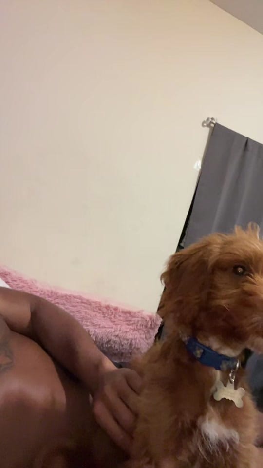 Post 3 by Ace💲 on TikTok (video)