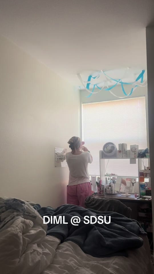 Post 3 by LIZA 🪩🐆🖤 on TikTok (video)