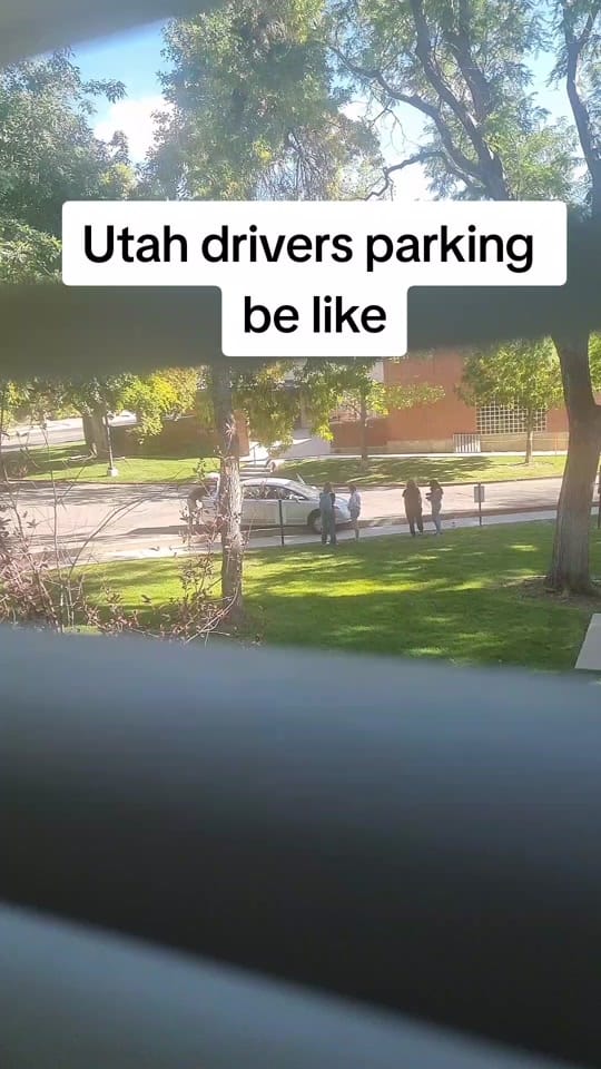 Post 3 by D on TikTok (video)
