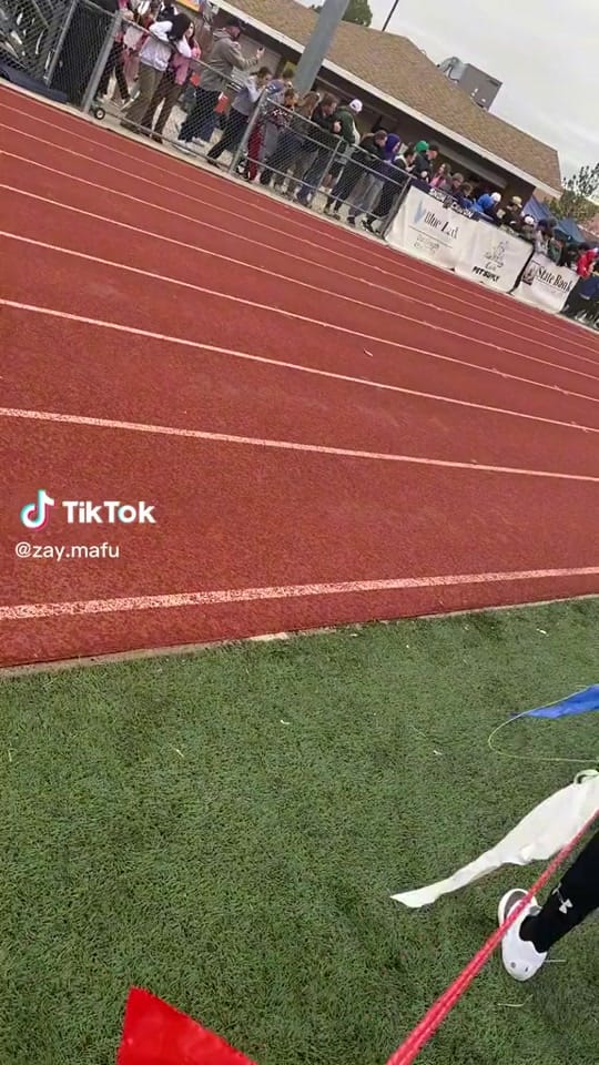 Post 5 by D on TikTok (video)