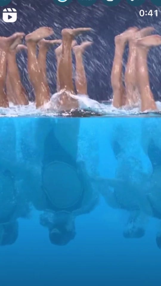 Post 8 by Nikki Dzurko on TikTok (video)