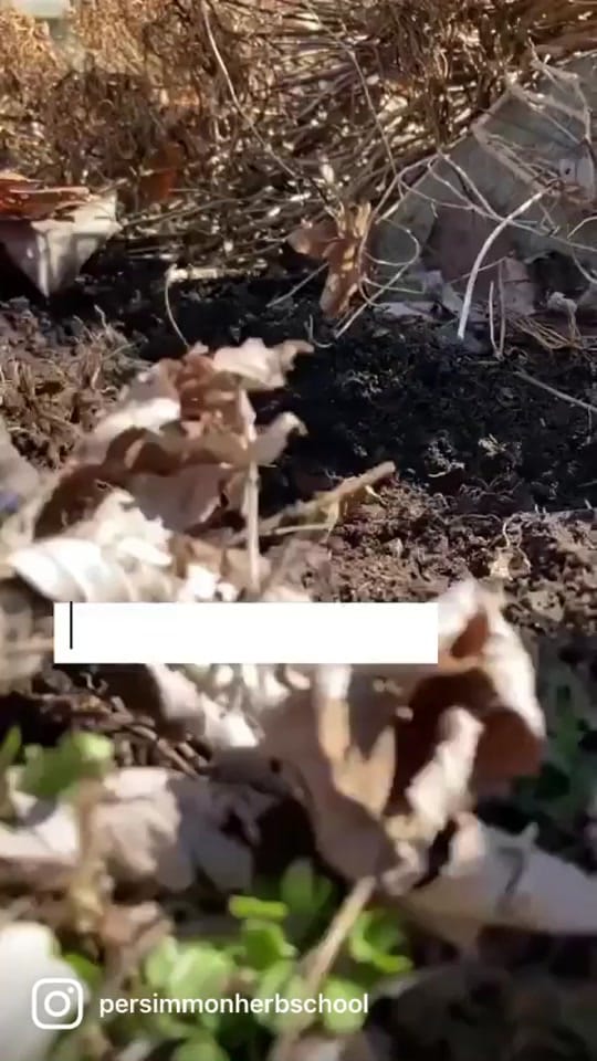 Post 10 by Colleen & Greg on TikTok (video)