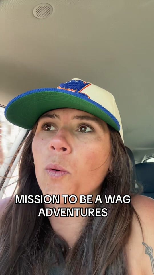 Post 5 by Maggie B ❤️‍🔥 on TikTok (video)