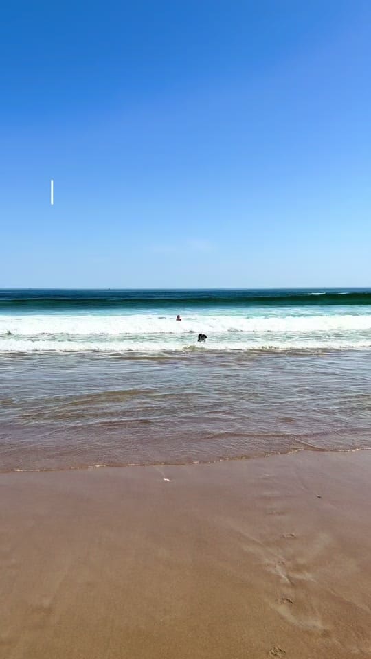 Post 3 by natalie on TikTok (video)