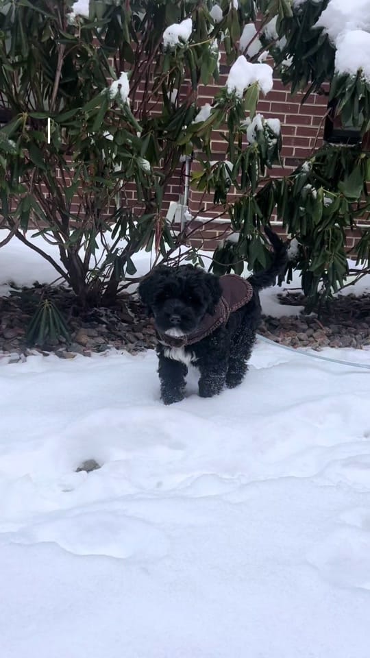 Post 1 by natalie on TikTok (video)