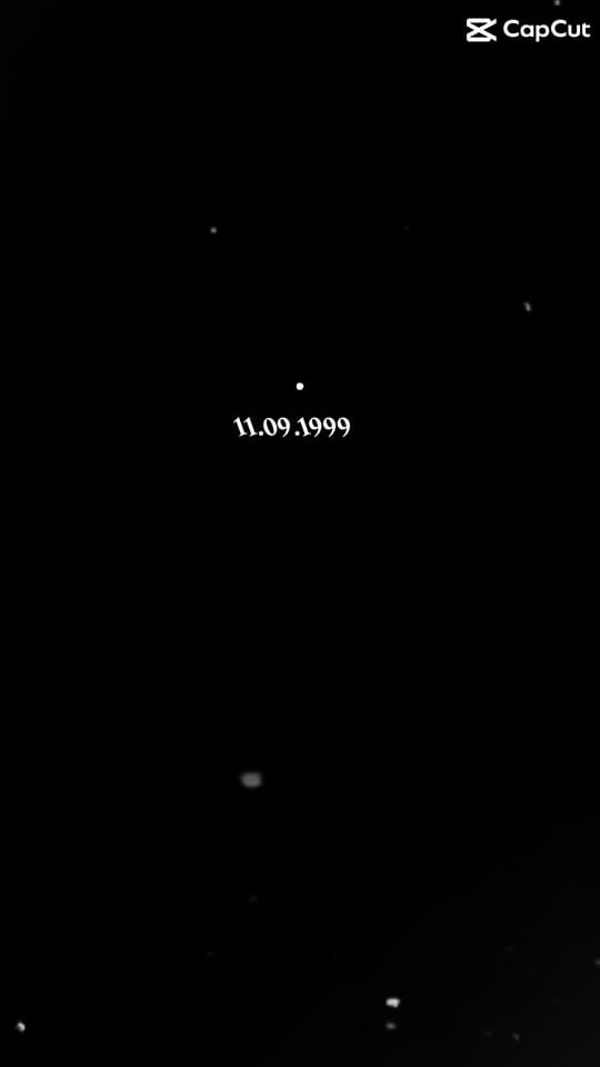 Post 7 by Nicole Mansano on TikTok (video)
