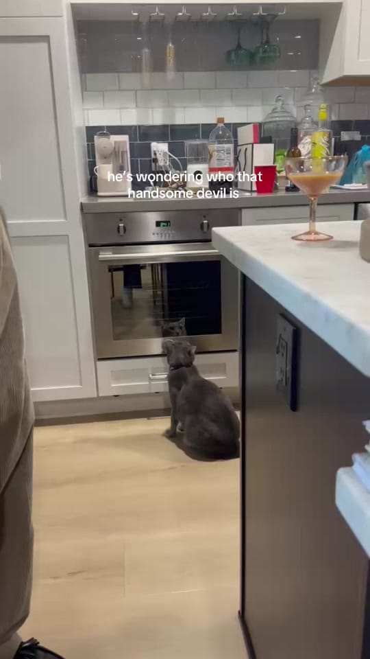 Post 10 by sayers on TikTok (video)