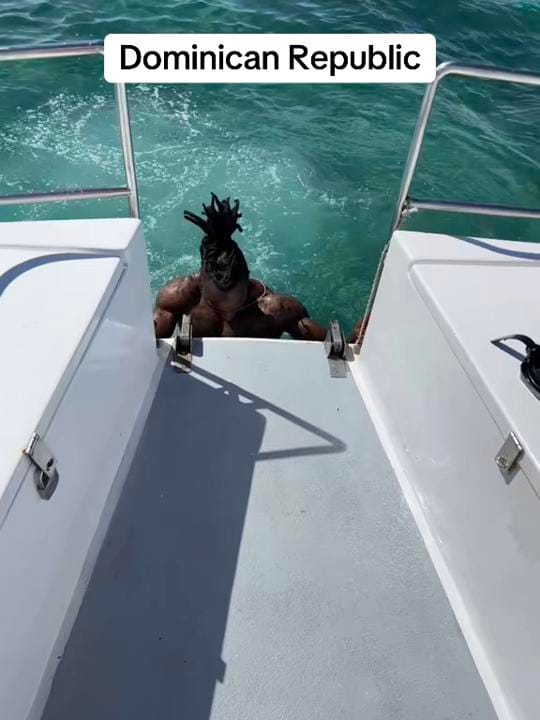 Post 1 by D Moore on TikTok (video)