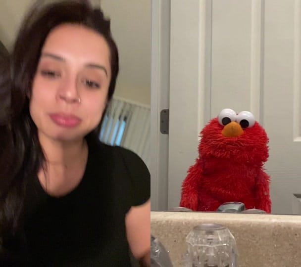 Post 10 by Whiskey on TikTok (video)