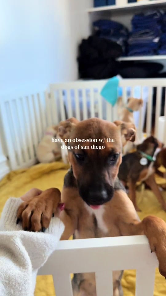 Post 9 by kendall berger on TikTok (video)