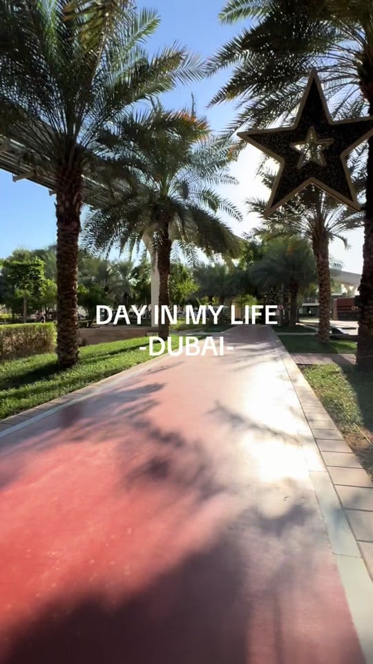 Post 4 by nelly-daily on TikTok (video)