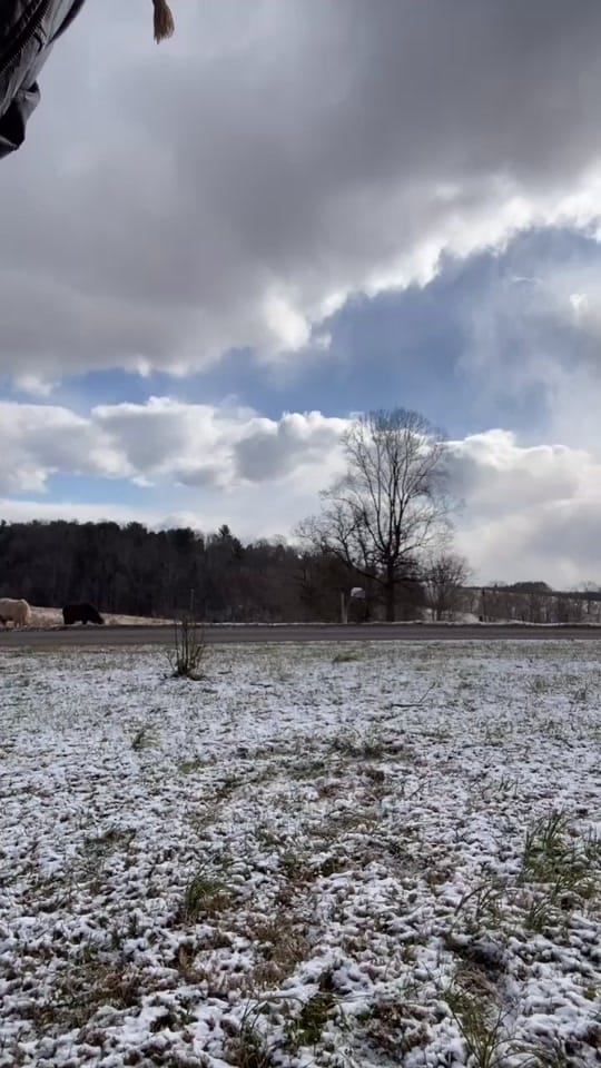 Post 9 by Dillon Cabe on TikTok (video)