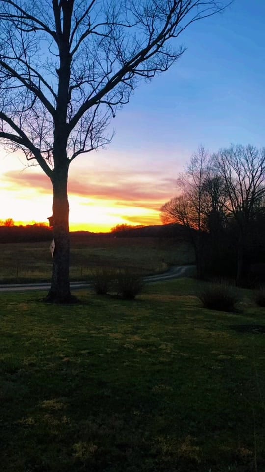Post 4 by Dillon Cabe on TikTok (video)