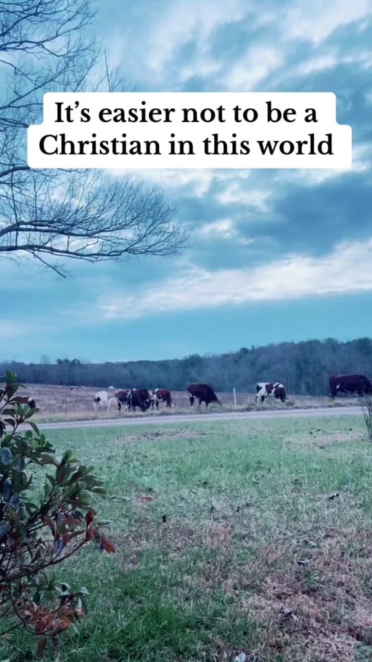 Post 3 by Dillon Cabe on TikTok (video)