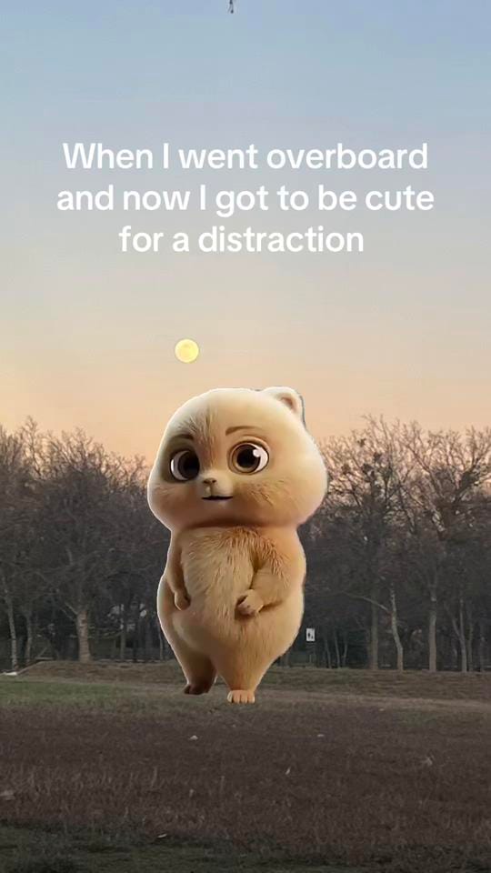 Post 1 by Irene Carr 🪬 🧿 on TikTok (video)