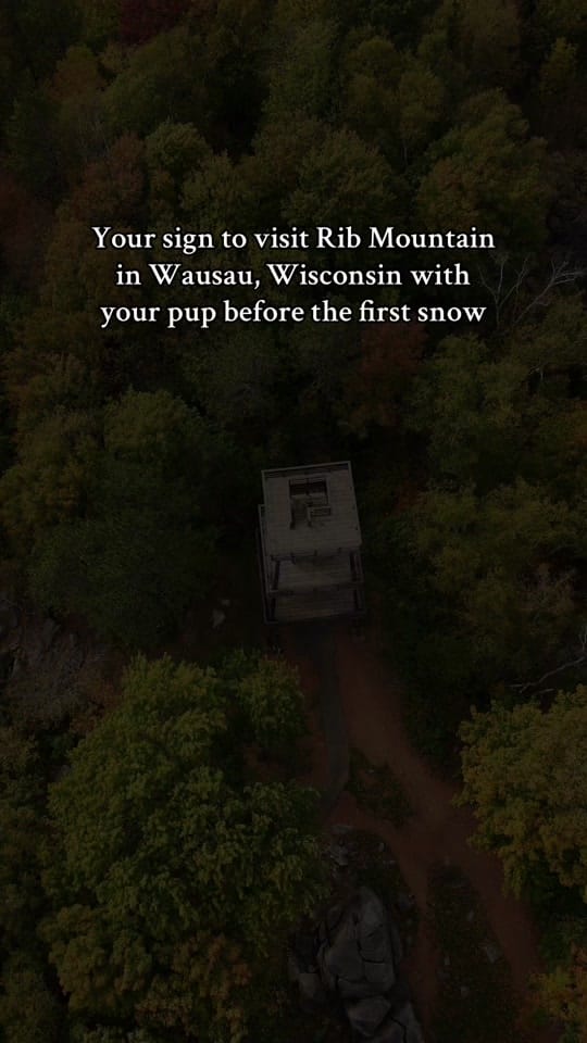 Post 10 by Kelsey- Dog-Friendly TX Travel on TikTok (video)