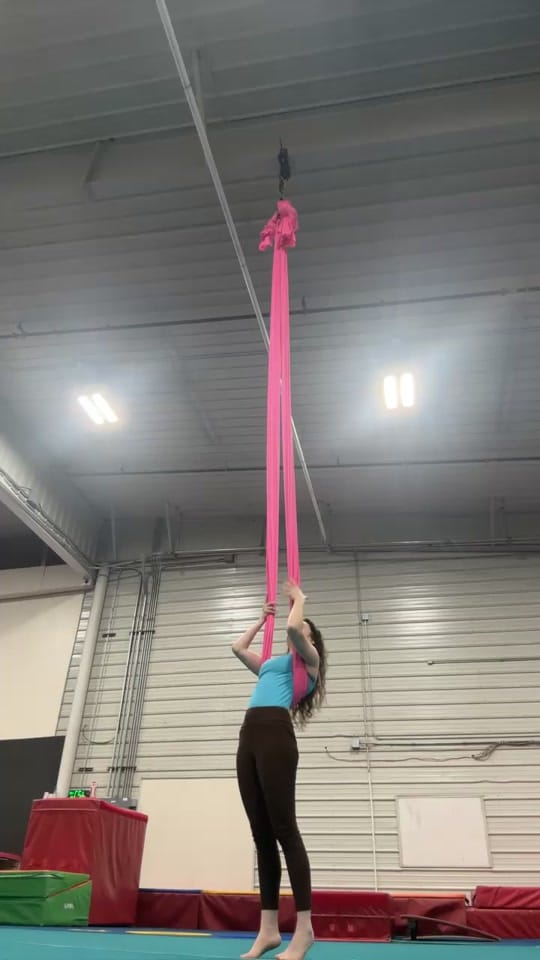 Post 7 by Alanna Beans on TikTok (video)