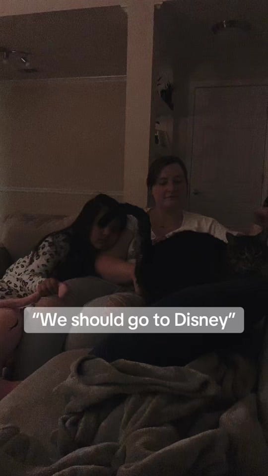 Post 8 by ChampionChurchill on TikTok (video)