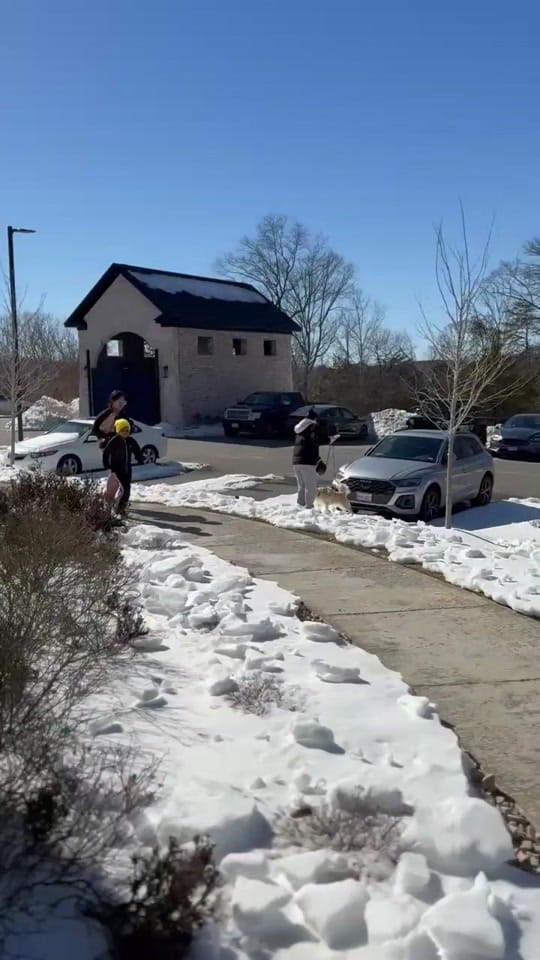 Post 9 by Megan Ann🏃🏽‍♀️🏋🏾‍♀️📚 on TikTok (video)