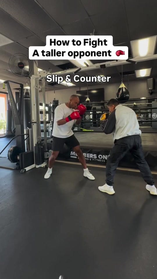 Post 4 by plantbasedboxer on TikTok (video)