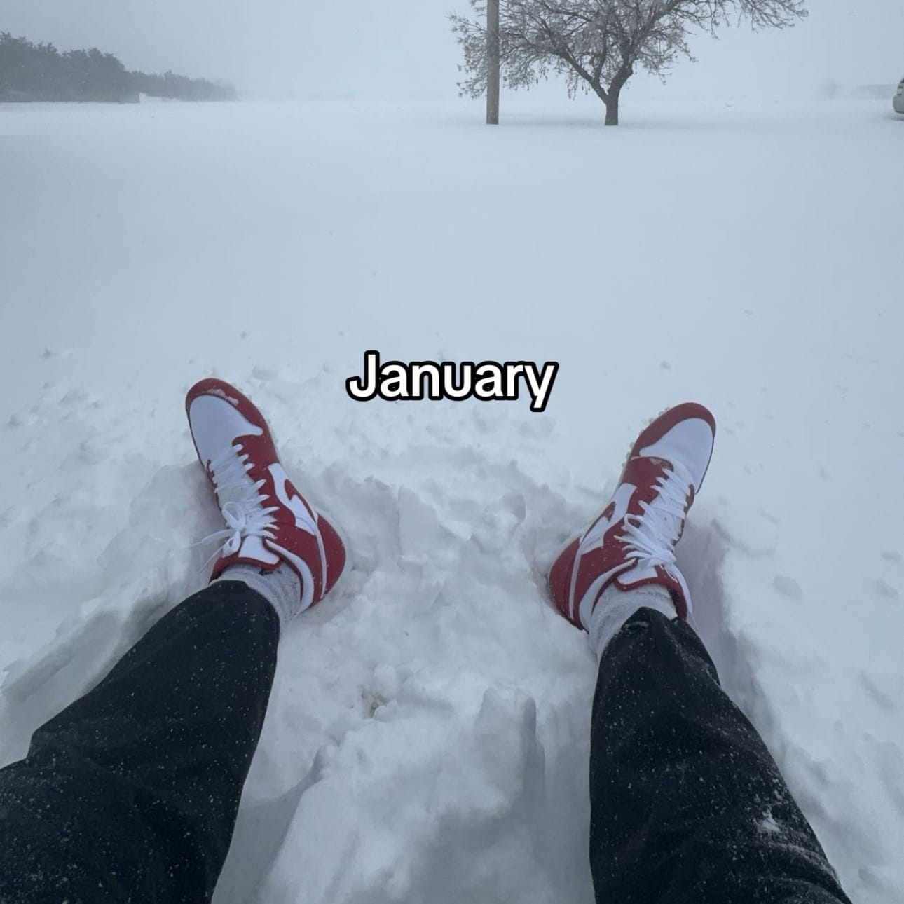 Post 1 by Jaren Kanak (6’5) on TikTok (video)