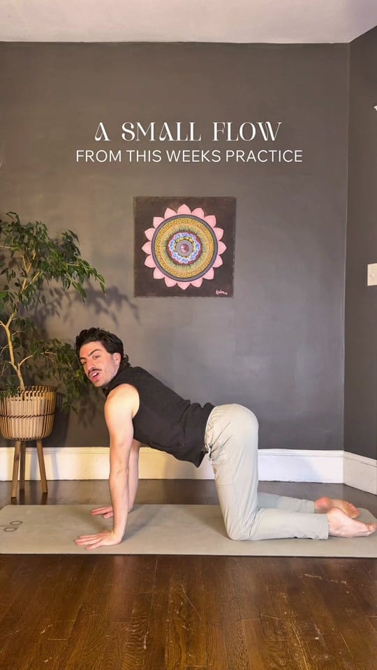 Post 9 by yogawithharrison on TikTok (video)