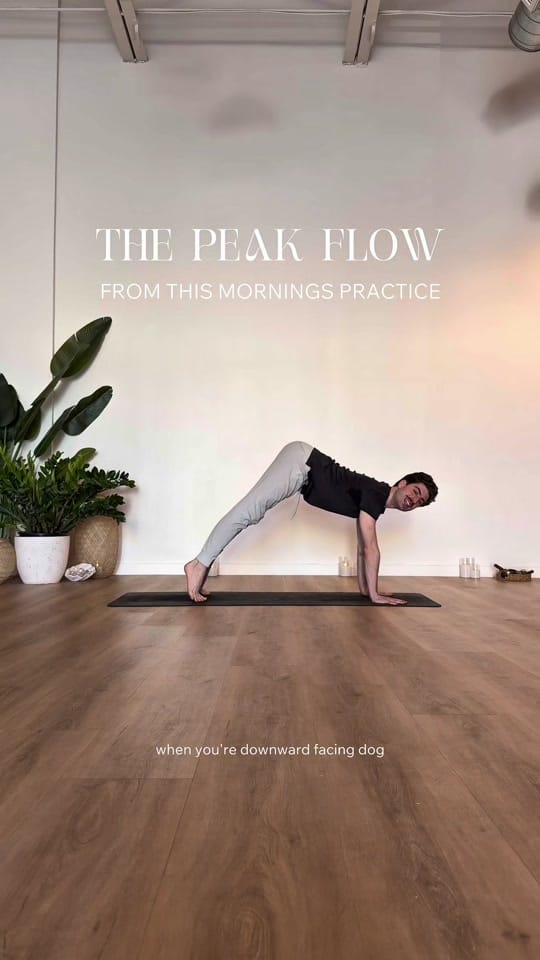Post 2 by yogawithharrison on TikTok (video)