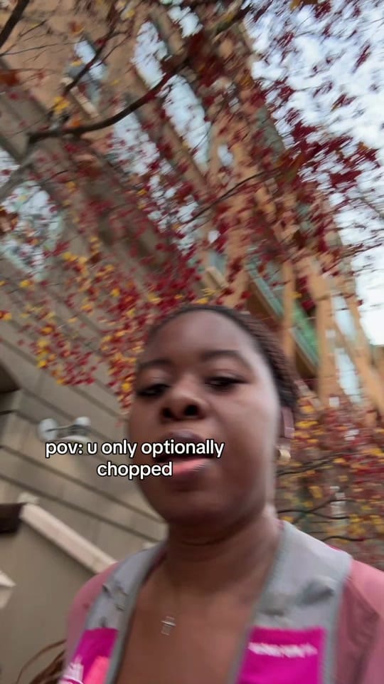 Post 7 by literallylisaamara on TikTok (video)