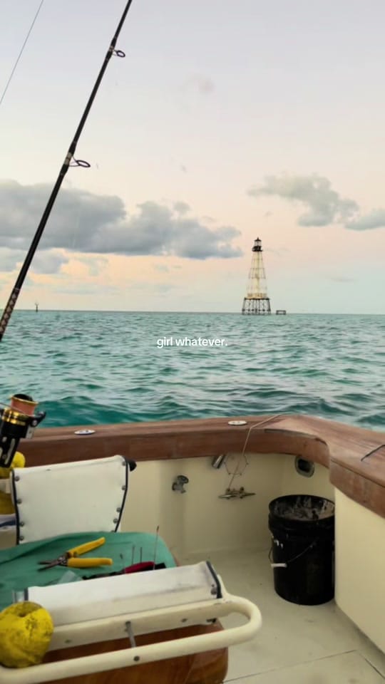 Post 10 by Alyssa Prescher on TikTok (video)