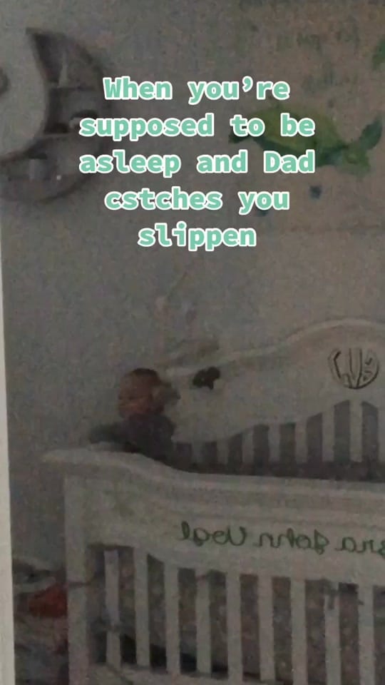 Post 7 by Robbie Vogl on TikTok (video)